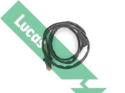 LEB278 Lambda sonda Lucas LUCAS