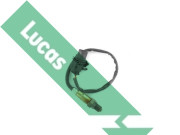 LEB5304 Lambda sonda Lucas LUCAS