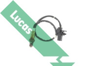 LEB5306 Lambda sonda Lucas LUCAS