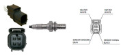 LEB5531 Lambda sonda LUCAS