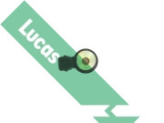 SEB1909 Senzor klepání Lucas LUCAS