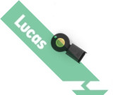 SEB7753 Senzor klepání Lucas LUCAS