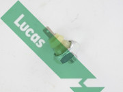 SOB502 Olejový tlakový spínač Lucas LUCAS