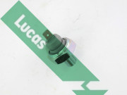 SOB503 Olejový tlakový spínač Lucas LUCAS