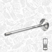 VE0081 Výfukový ventil ET ENGINETEAM