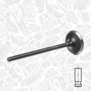 VE0113 Výfukový ventil ET ENGINETEAM