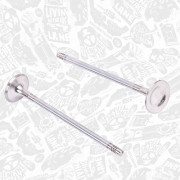 VE0132 Výfukový ventil ET ENGINETEAM