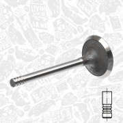 VI0051 Sací ventil ET ENGINETEAM