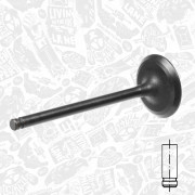 VI0102 Sací ventil ET ENGINETEAM