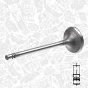 VI0141 Sací ventil ET ENGINETEAM