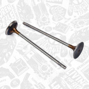 VI0171 Sací ventil ET ENGINETEAM