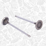 VI0173 Sací ventil ET ENGINETEAM