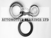 ABK1183 Sada ložisek kol Automotive Bearings