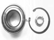 ABK1809 Sada ložisek kol Automotive Bearings