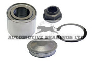 ABK1979 Sada ložisek kol Automotive Bearings