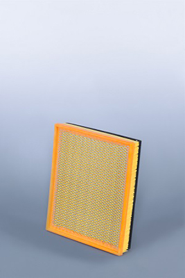 AF25797 FLEETGUARD vzduchový filter AF25797 FLEETGUARD