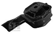 00220621 Zavěšení motoru TEDGUM