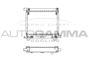 100541 Chladič, chlazení motoru AUTOGAMMA