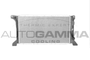 101200 Chladič, chlazení motoru AUTOGAMMA