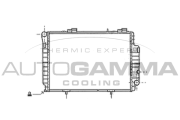 101379 Chladič, chlazení motoru AUTOGAMMA