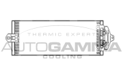 103945 Olejový chladič, motorový olej AUTOGAMMA