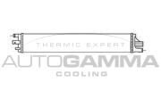 107233 Chladič, chlazení motoru AUTOGAMMA