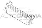 107303 Chladič turba AUTOGAMMA