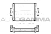 107406 Chladič, chlazení motoru AUTOGAMMA