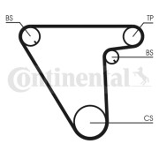 CT833 Ozubený řemen CONTINENTAL CTAM BR