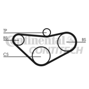 CT800 Ozubený řemen CONTINENTAL CTAM BR