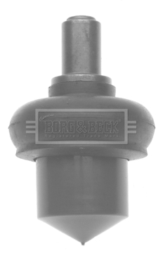 BBJ5000 Kloub kolenové páky BORG & BECK