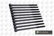 BK4357 BGA sada skrutiek hlavy valcov BK4357 BGA