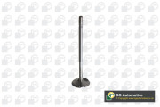 V560013 BGA sací ventil V560013 BGA