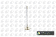 V917010 BGA sací ventil V917010 BGA