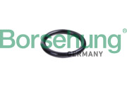 B10632 Těsnění, potrubí chladicí kapaliny Borsehung