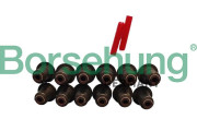 B12508 Borsehung tesniaci krúżok drieku ventilu B12508 Borsehung