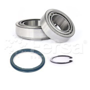 WK00293 Sada ložisek kol Fersa Bearings