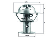 WG1426541 Termostat, chladivo WILMINK GROUP