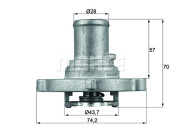 WG1217572 Termostat, chladivo WILMINK GROUP