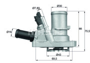 WG1217591 Termostat, chladivo WILMINK GROUP