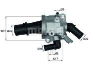 WG1217602 Termostat, chladivo WILMINK GROUP