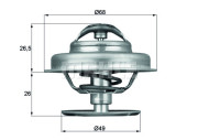 WG1264893 Termostat, chladivo WILMINK GROUP