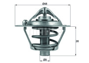 WG1217861 Termostat, chladivo WILMINK GROUP