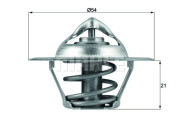 WG1217869 Termostat, chladivo WILMINK GROUP