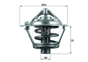 WG1217870 Termostat, chladivo WILMINK GROUP