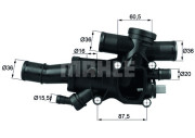 WG1217535 Termostat, chladivo WILMINK GROUP