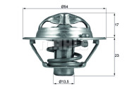 WG1217873 Termostat, chladivo WILMINK GROUP