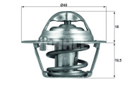 WG1217877 Termostat, chladivo WILMINK GROUP