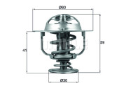 WG1426538 Termostat, chladivo WILMINK GROUP