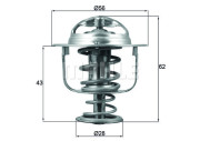 WG1426551 Termostat, chladivo WILMINK GROUP